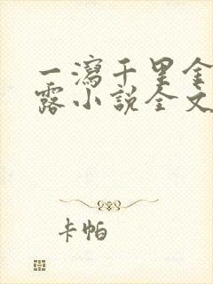 一泻千里金银花露小说全文免费阅读