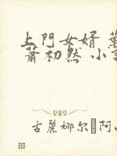上门女婿 叶辰 萧初然 小说封面