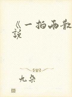 《一拍两散》小说