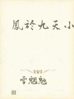 凤于九天小说