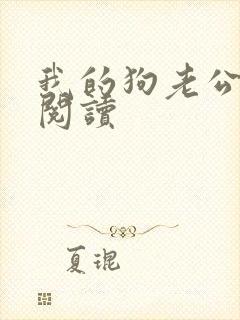 我的狗老公小说阅读