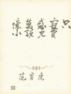 亿万盛宠只为你小说免费