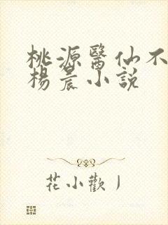 桃源医仙不风流杨晨小说