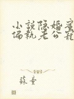 小说隐婚蜜爱:偏执老公宠上瘾在线阅读