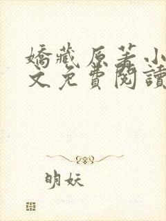 娇藏原著小说全文免费阅读封面