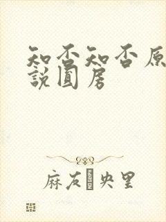 知否知否原著小说圆房