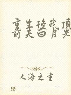 重生后我顶替了前夫白月光 无弹窗封面
