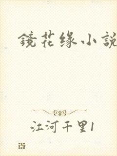 镜花缘小说