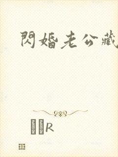 闪婚老公藏不住