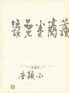 绝品小伟芳姨小说免费阅读
