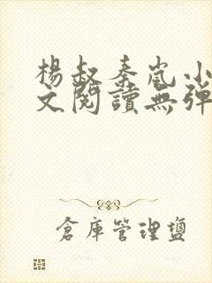 杨叔秦岚小说全文阅读无弹窗封面