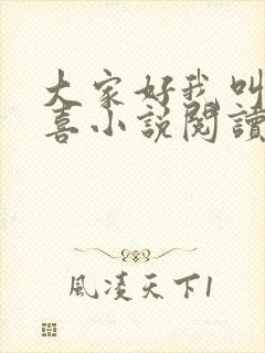 大家好我叫林小喜小说阅读全文封面