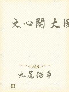 文心阁 大团结封面