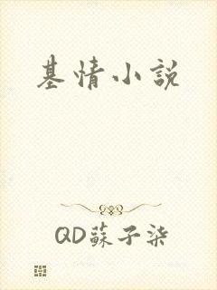 基情小说