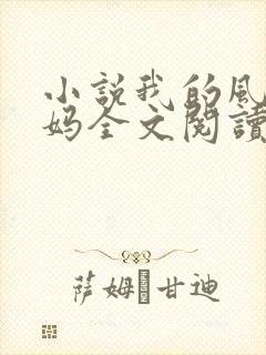 小说我的风流妈妈全文阅读
