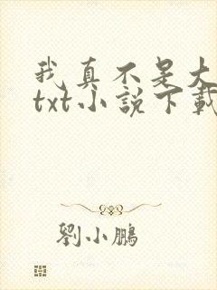 我真不是大魔王txt小说下载
