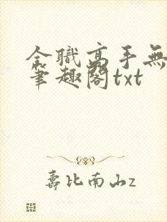 全职高手无弹窗笔趣阁txt