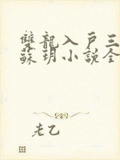 双龙入户三人行苏玥小说全文阅读