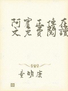 阿宾正传在线全文免费阅读无删减封面