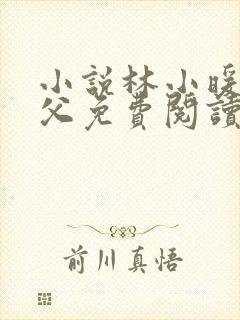 小说林小暖和继父免费阅读封面