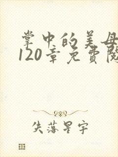 掌中的美母版主120章免费阅读