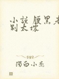 小说 腹黑老公别太坏