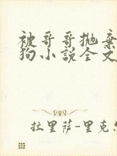 被哥哥抛弃的小狗小说全文阅读