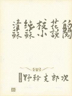 清纯校花的日常苏苏小说阅读全文封面