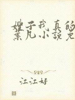 嫂子我真的不傻叶凡小说免费