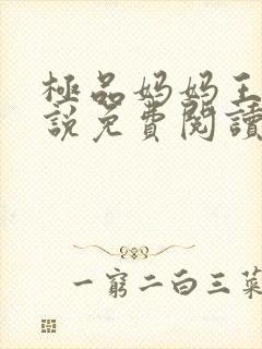 极品妈妈王伟小说免费阅读全文最新封面