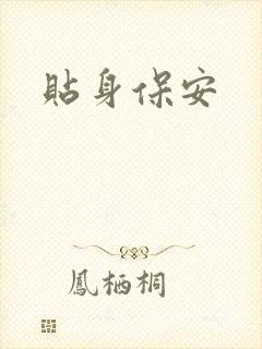 贴身保安封面