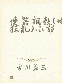 便器调教(肉体狂乱)小说封面