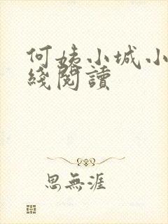 何姨小城小说在线阅读封面