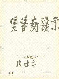 摸摸大扔子小说免费阅读小说