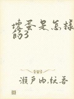 坏蛋是怎样练成的3