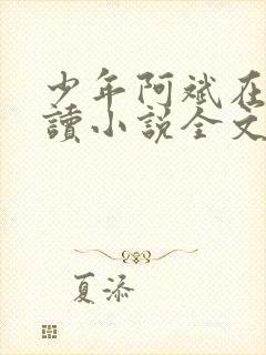 少年阿斌在线阅读小说全文免费