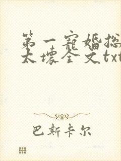 第一宠婚总裁别太坏全文txt