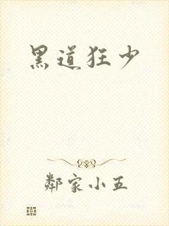 黑道狂少封面