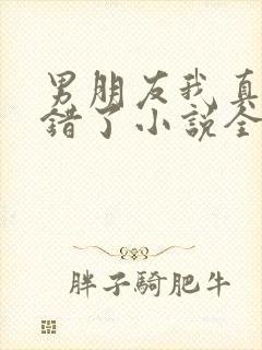 男朋友我真的知错了小说全文阅读封面