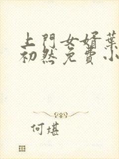 上门女婿叶辰萧初然免费小说封面
