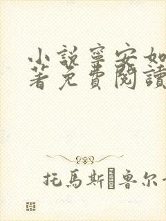 小说宁安如梦原著免费阅读
