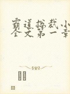 霸道总裁小娇妻全文第一章一百万的小说/