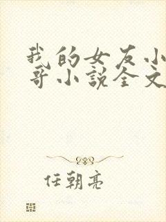 我的女友小琪刘哥小说全文阅读