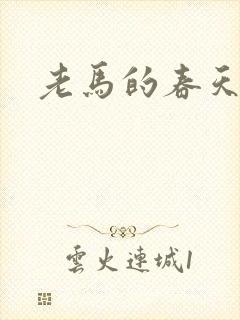 老马的春天敏静