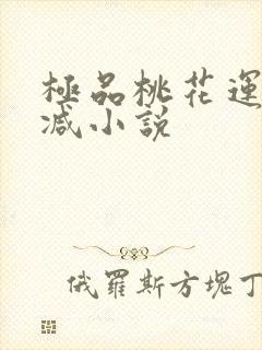 极品桃花运未删减小说封面