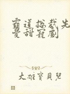 霸道总裁先婚后爱甜宠剧