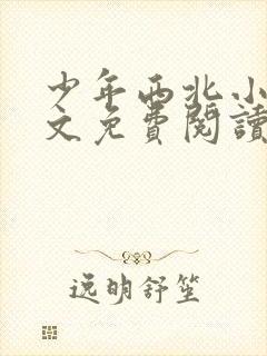 少年西北小说全文免费阅读无弹窗封面