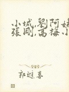 小城,刘阿姨,张刚,高梅小说免费阅读封面