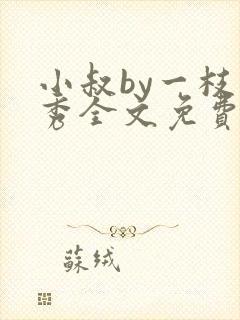 小叔by一枝独秀全文免费阅读笔趣阁最