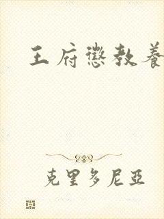 王府惩教养日常